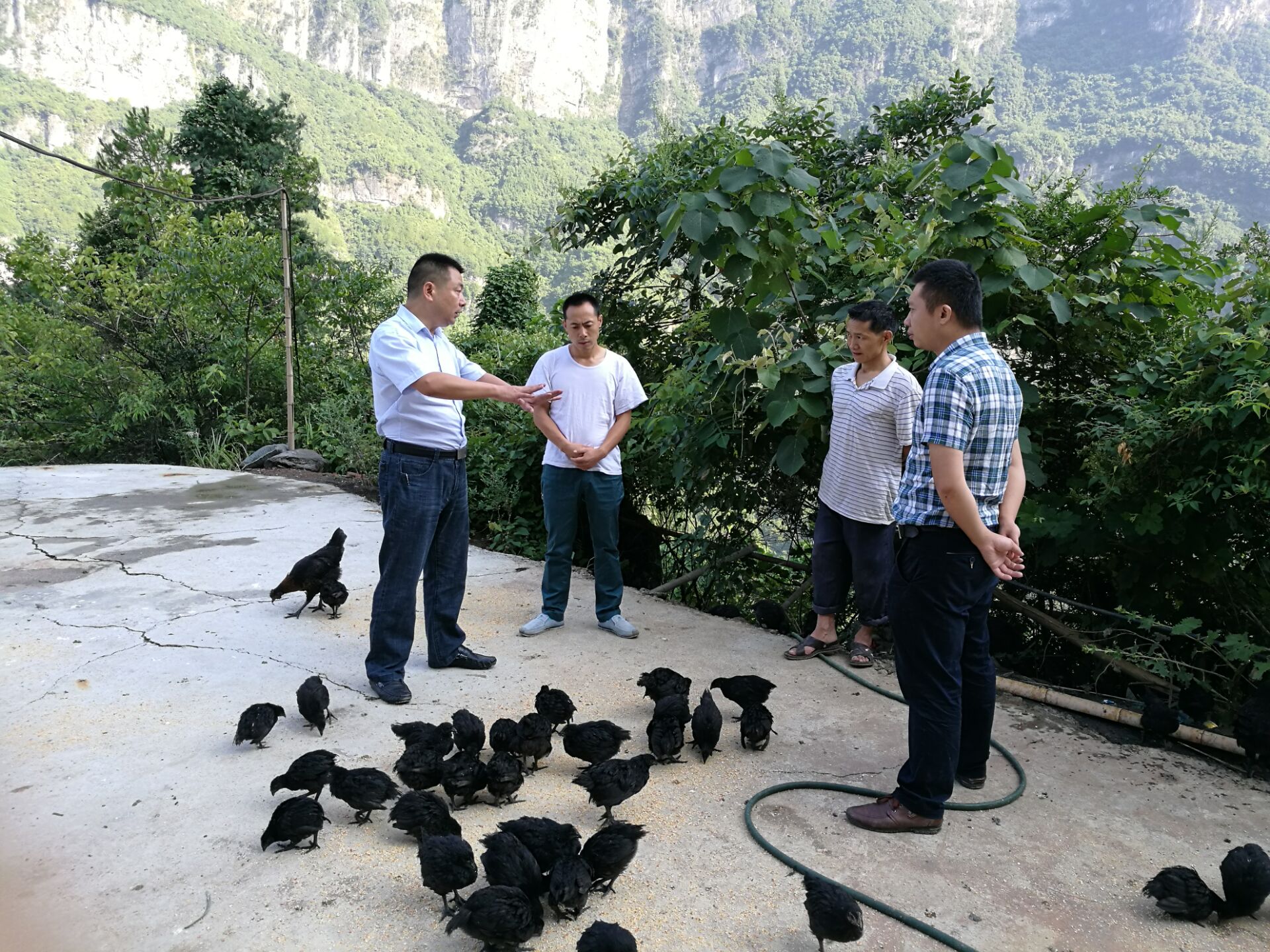 QQ图片20160804100821.jpg